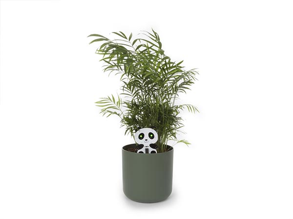 Panda Plant Guardian