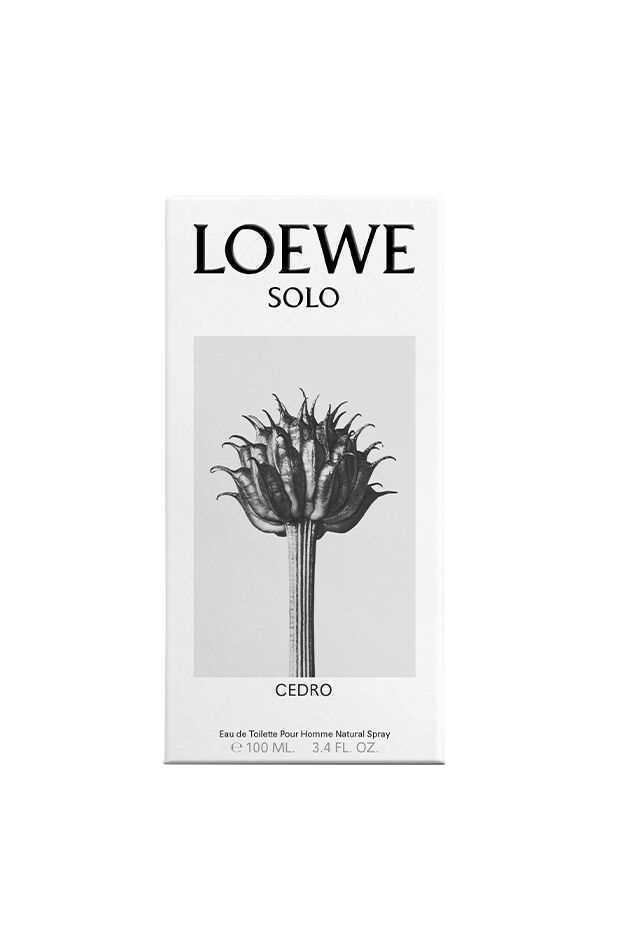 Perfume Homem Solo Cedro Loewe EDT (100 ml)