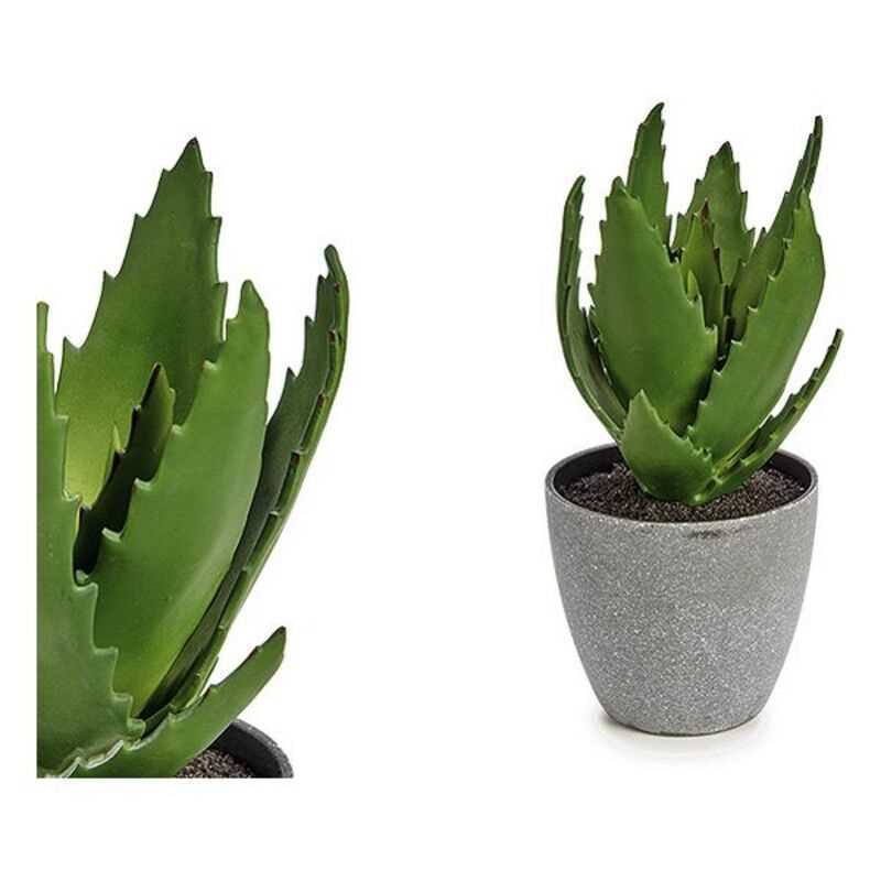 Planta Decorativa Plastico Aloe Vera (14 X 20 X 1. | Acuario Electrónico