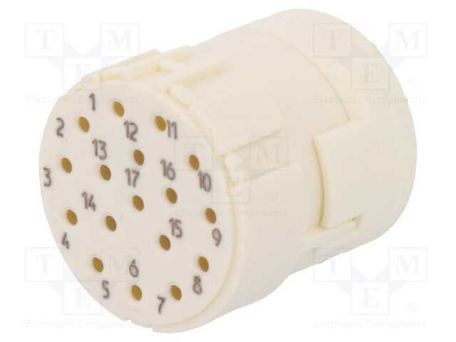 Conector: M23, inserto de contatos, PIN: 17, fême.