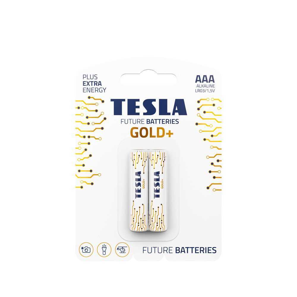 Pilha Alcalina Tesla R3 (Aaa) Gold+ [2x120] 2 Unidades