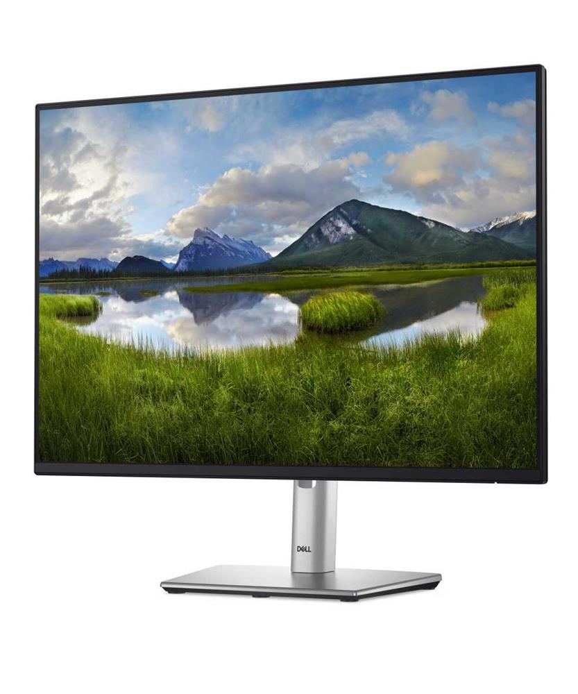 Dell Monitor 24